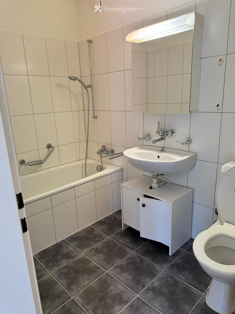 Rent a 1 room apartment in Zürich (4)