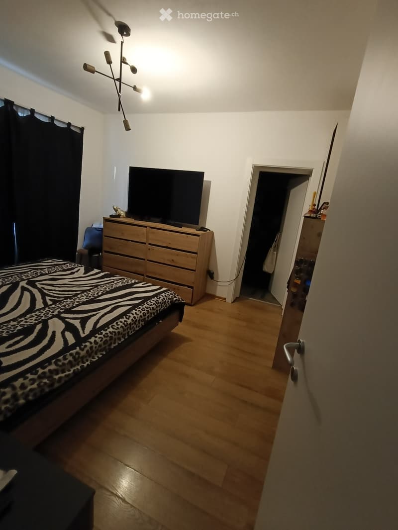 CERCASI SUBENTRANTE DAL 15 DICEMBRE Casa bifamiliare (4)