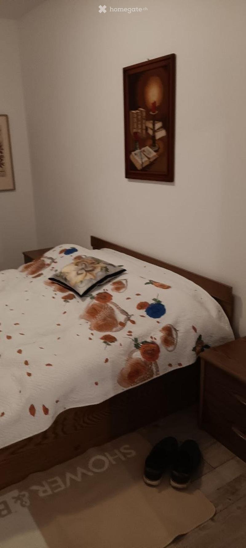 Möblierte Wohnung mit Parkplatz - Wettingen (2)
