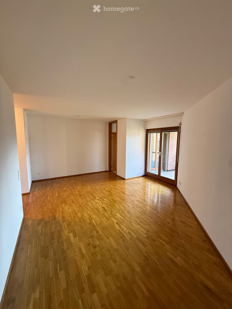 2.5 locali in affitto a Massagno (2)