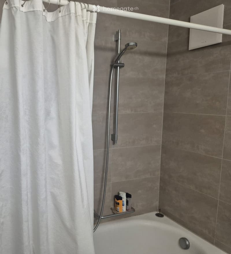 3.5 locali alla Residenza Tatiana (4)