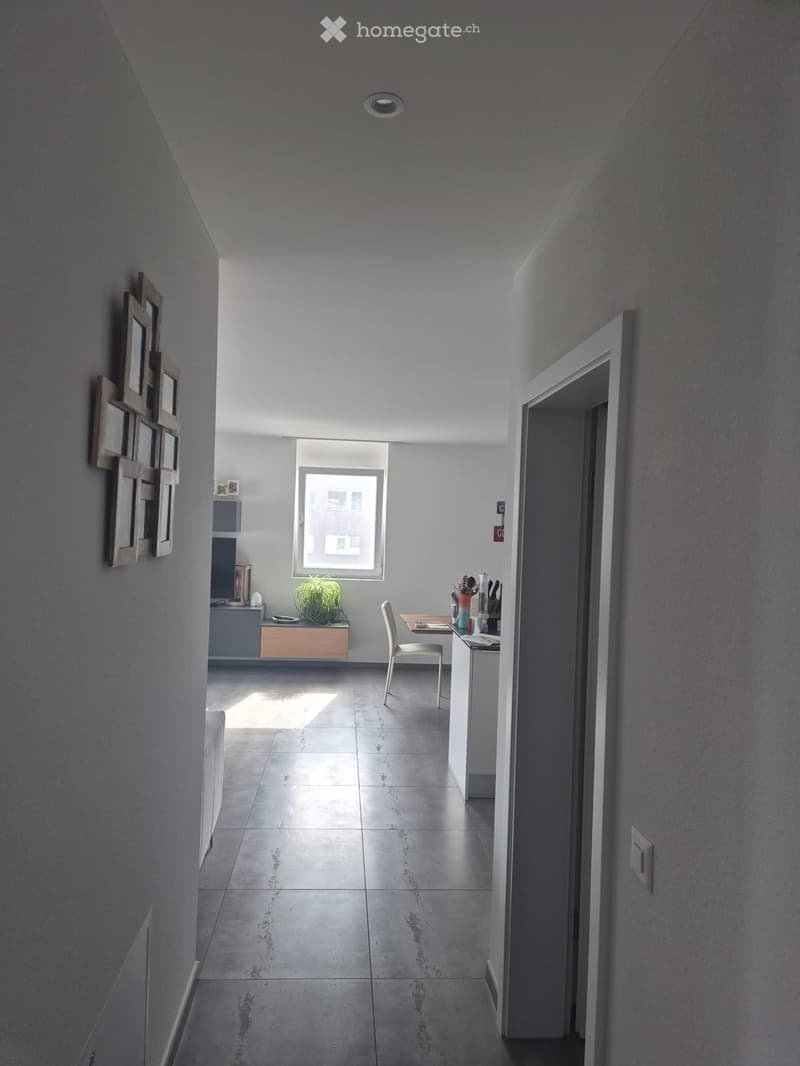 3.5 locali alla Residenza Tatiana (2)