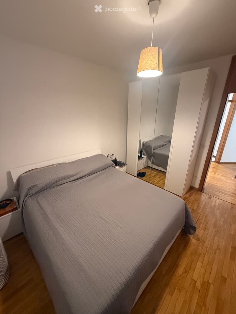 Appartamento 3.5 a Massagno (4)