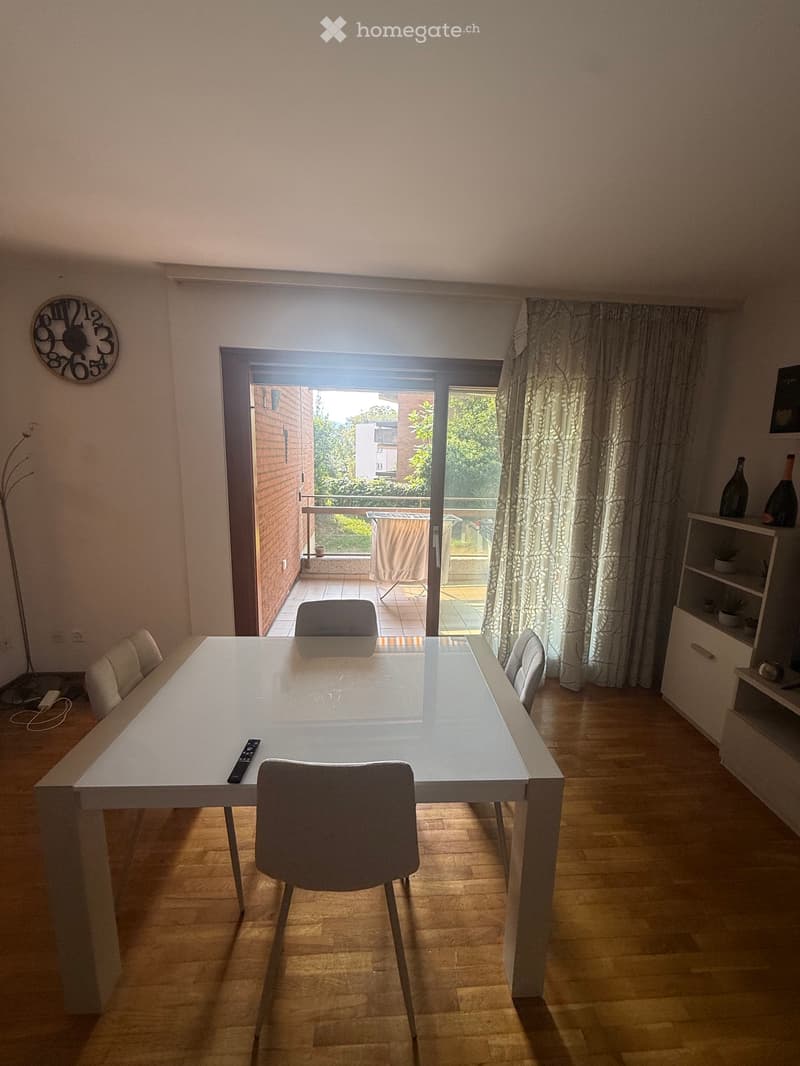 Appartamento 3.5 a Massagno (5)