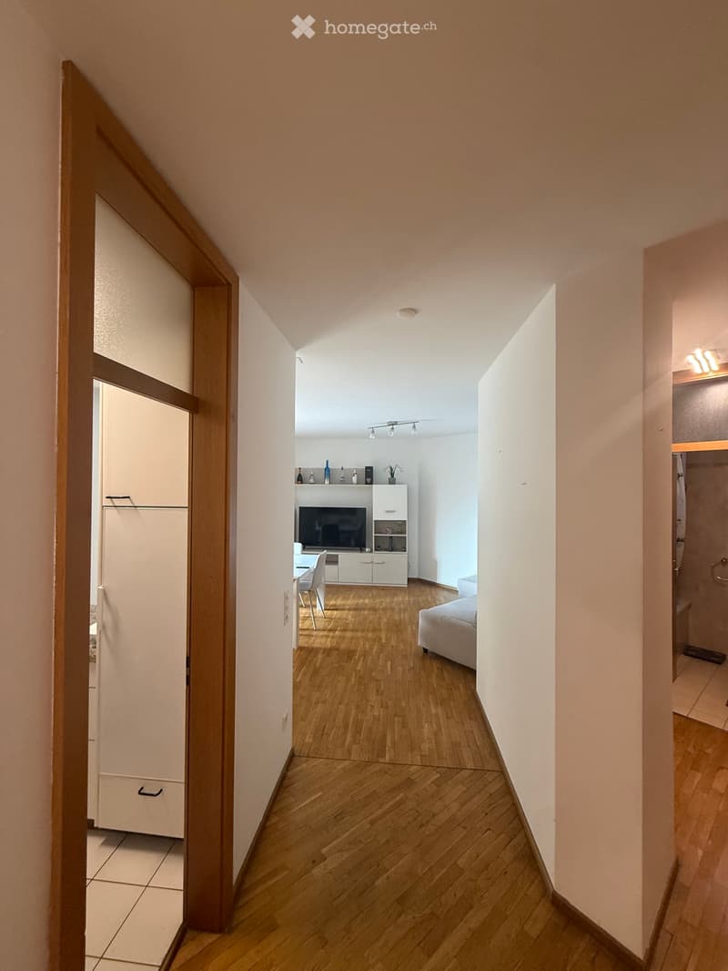 Appartamento 3.5 a Massagno (1)