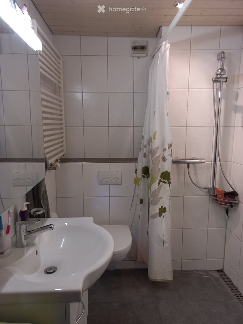 Stöckli-Wohnung /parterre (3)