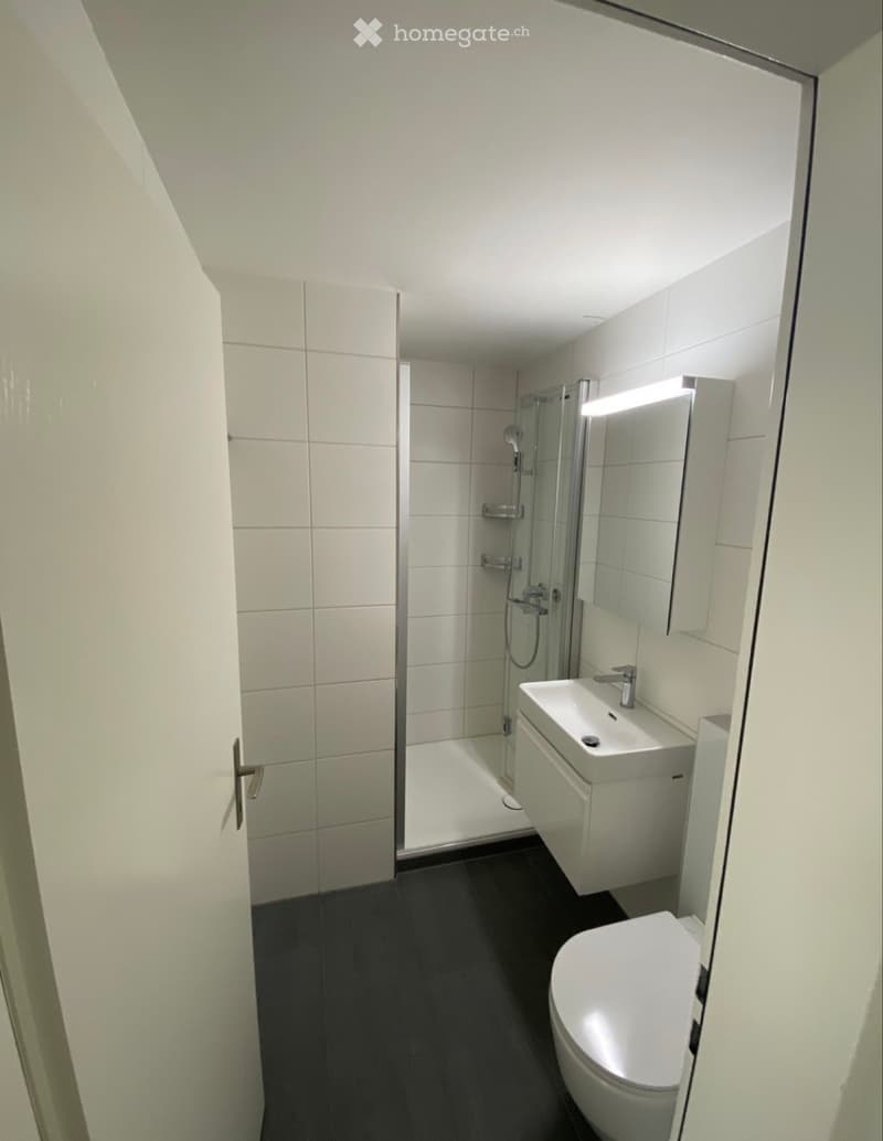 Wohnung zur Unterniete (3)