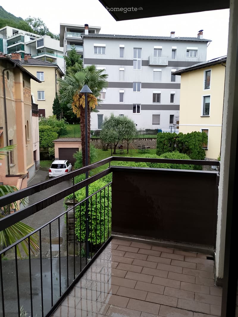 Ampio appartamento soleggiato e ristrutturato. (3)