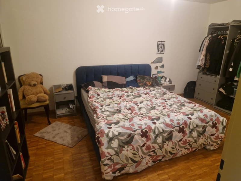 Subentrante appartamento 3.5 - Lugano/Breganzona (da subito) (4)