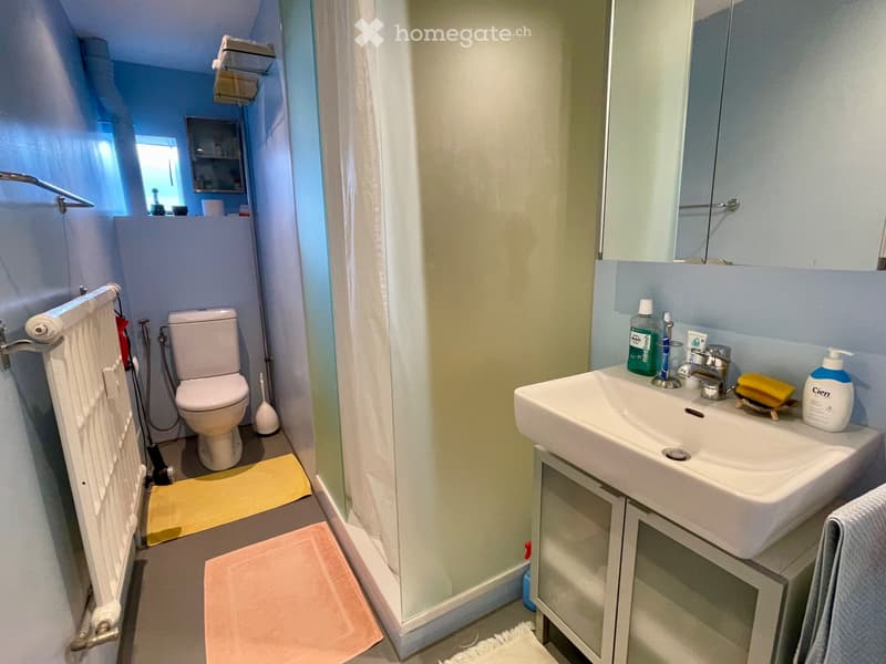 Einzigartige 3,5-Zimmer-Duplexwohnung mit Dachterrasse (4)