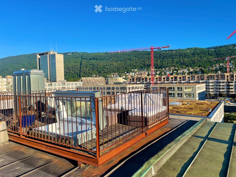 Einzigartige 3,5-Zimmer-Duplexwohnung mit Dachterrasse (5)