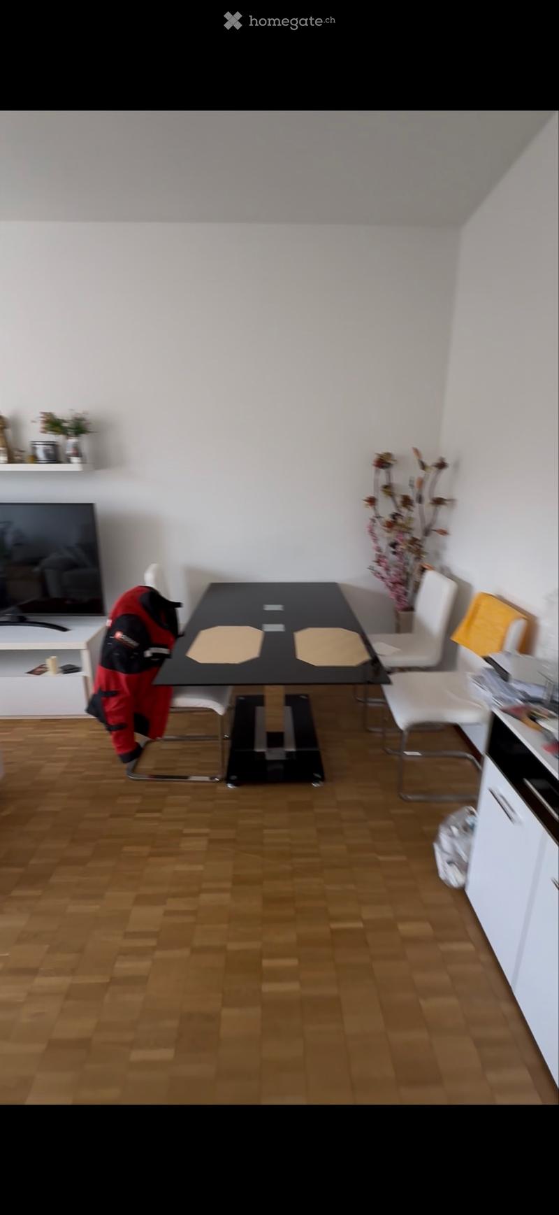 Appartamento 2,5 (3)
