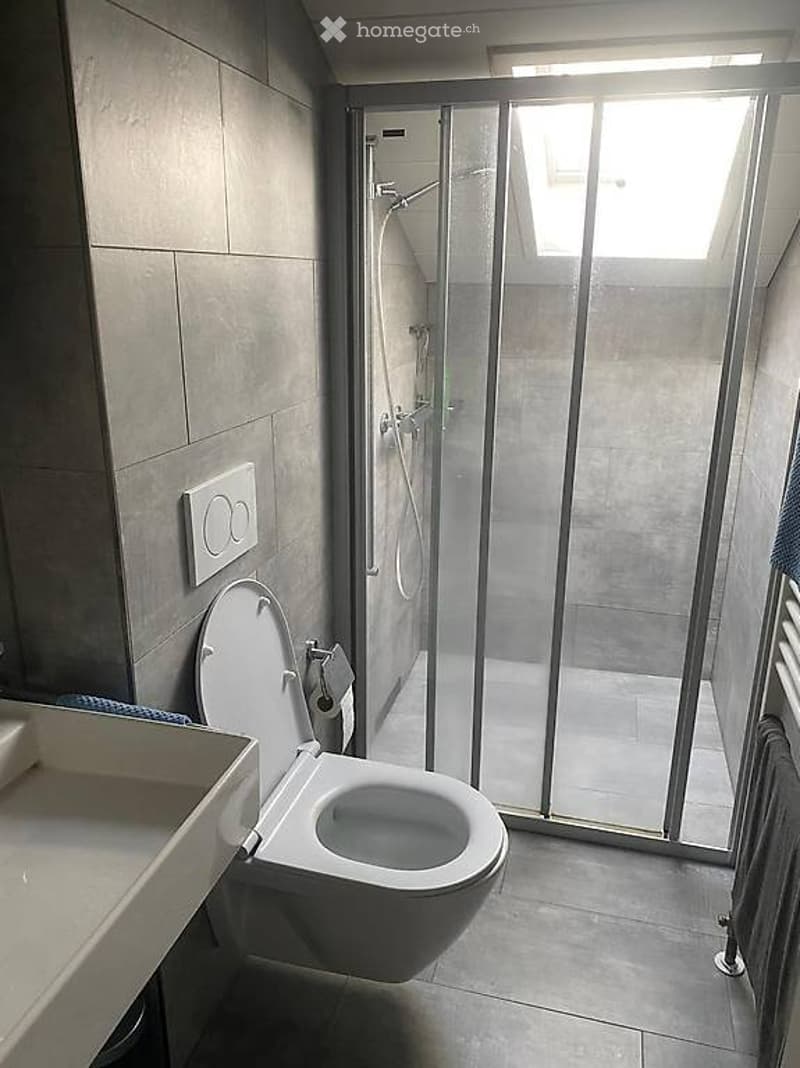 Bellinzona - 3.5 locali mansardato (5)