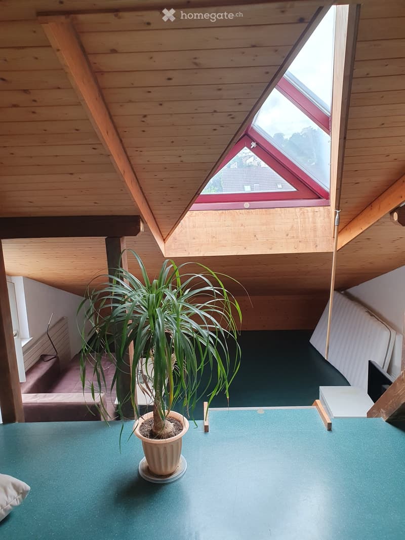 WG-Zimmer in Pratteln zu vermieten (3)
