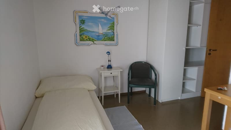 Appartamento ad occupazione singola a Brissago (1)