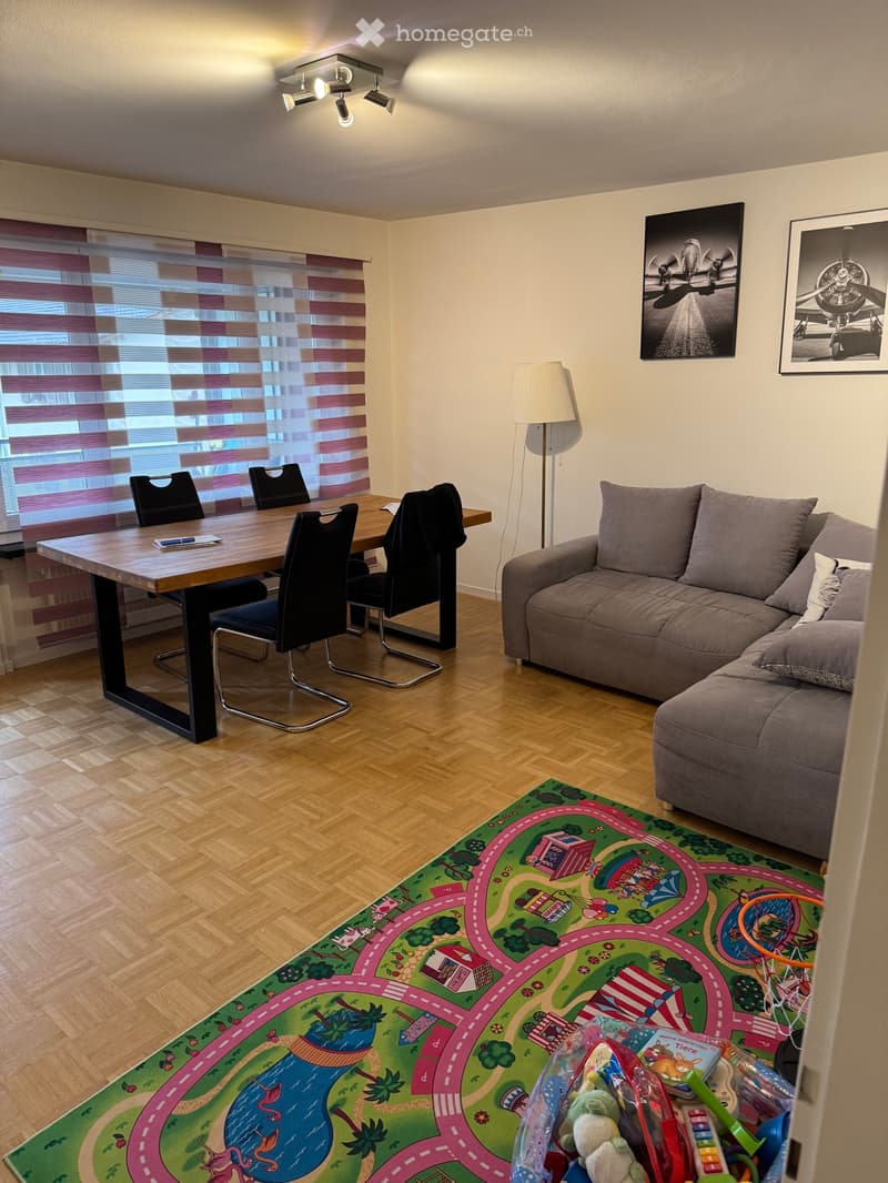 Schöne 3-Zimmerwohnung zu vermieten (4)