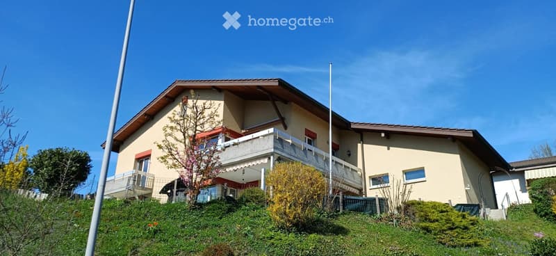 grosszügige 4.5 Zimmer-Wohnung mit Büro zu vermieten (1)