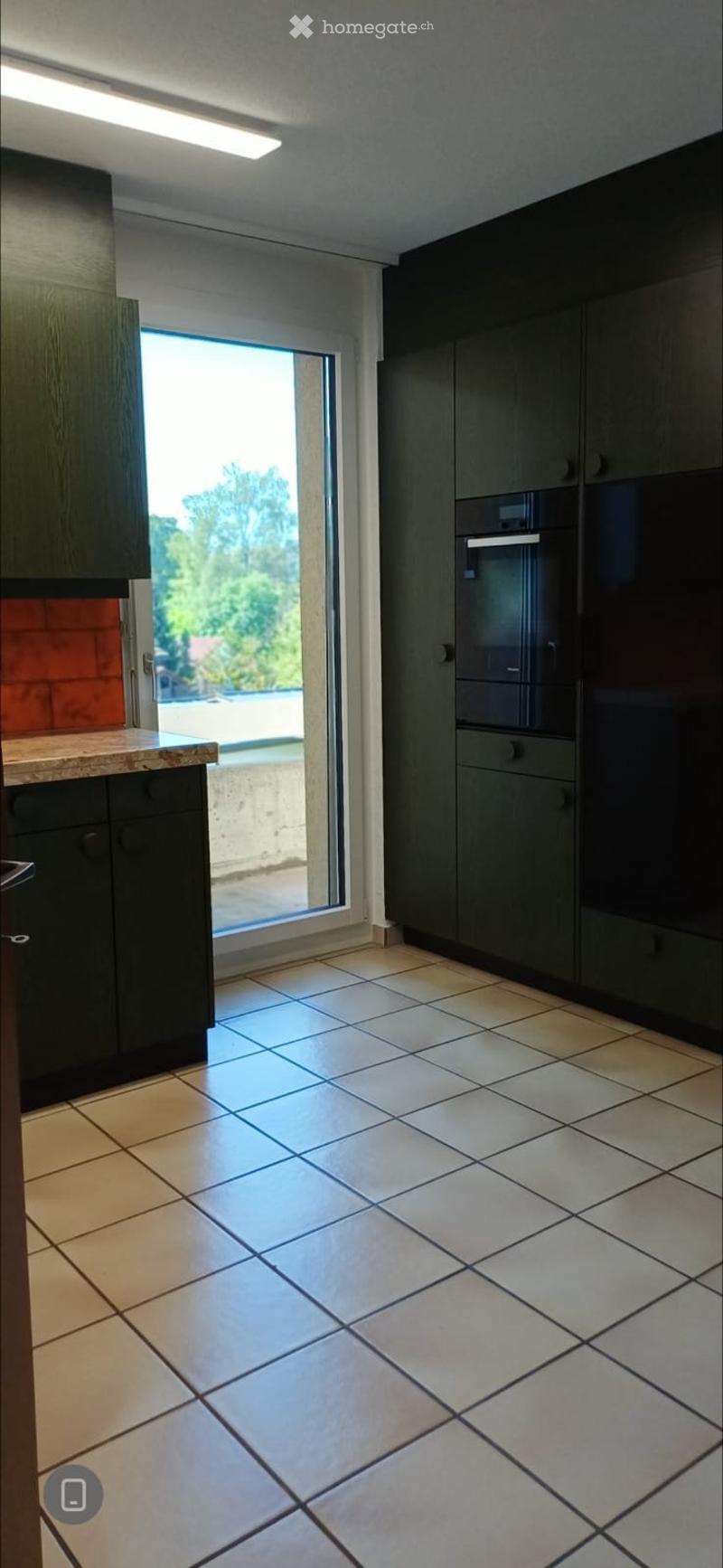 grosszügige 4.5 Zimmer-Wohnung mit Büro zu vermieten (3)