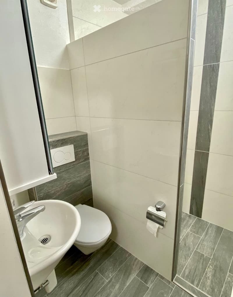 Ab SOFORT Frei möblierte 1 Zi Wohnung in Mauren TG (2)