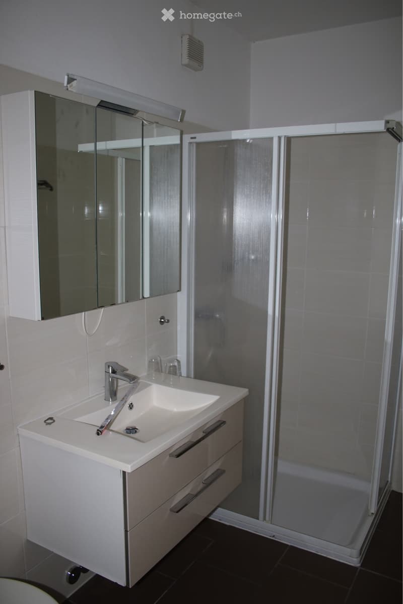 AFFITTASI 3.5 VISTA LAGO (5)
