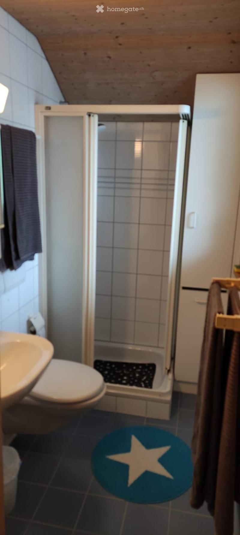 4.5 Zimmer Wohnung (5)
