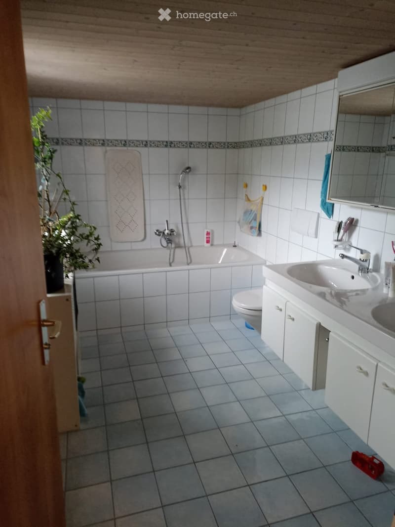 4.5 Zimmer Wohnung (1)