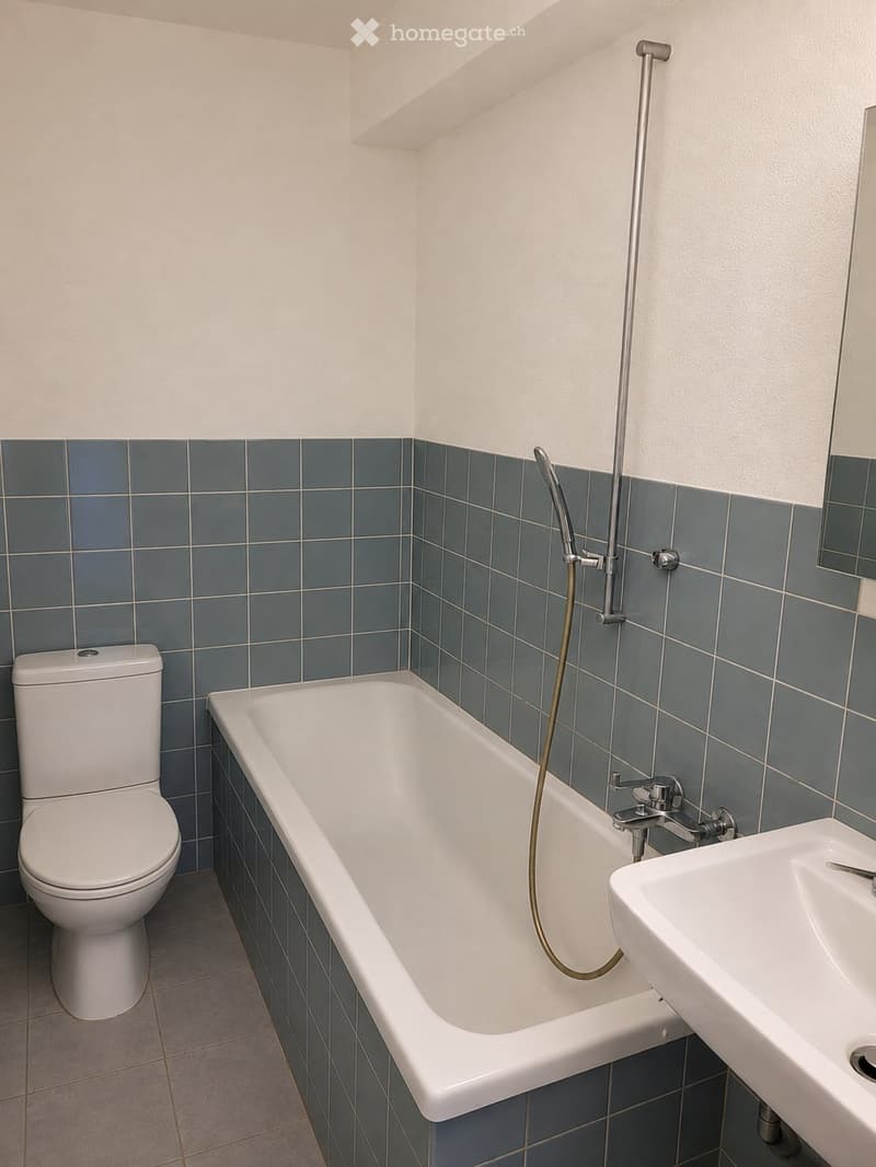 Attraktive Wohnung in zentraler Lage in Kreuzlingen (2)