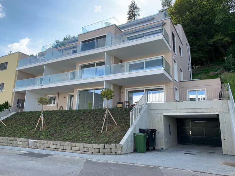 Moderne Attikawohnung mit 30m2 Terrasse (1)