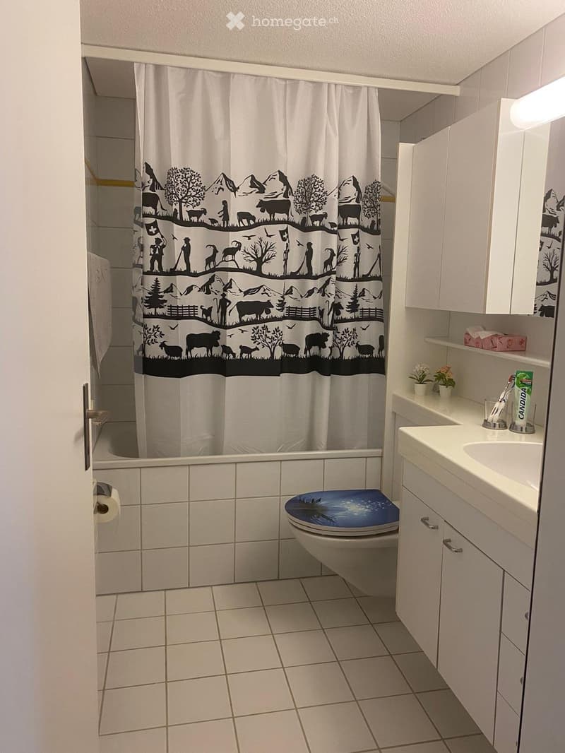 Gepflegte Wohnung mit Balkon und Tiefgaragenplatz (4)