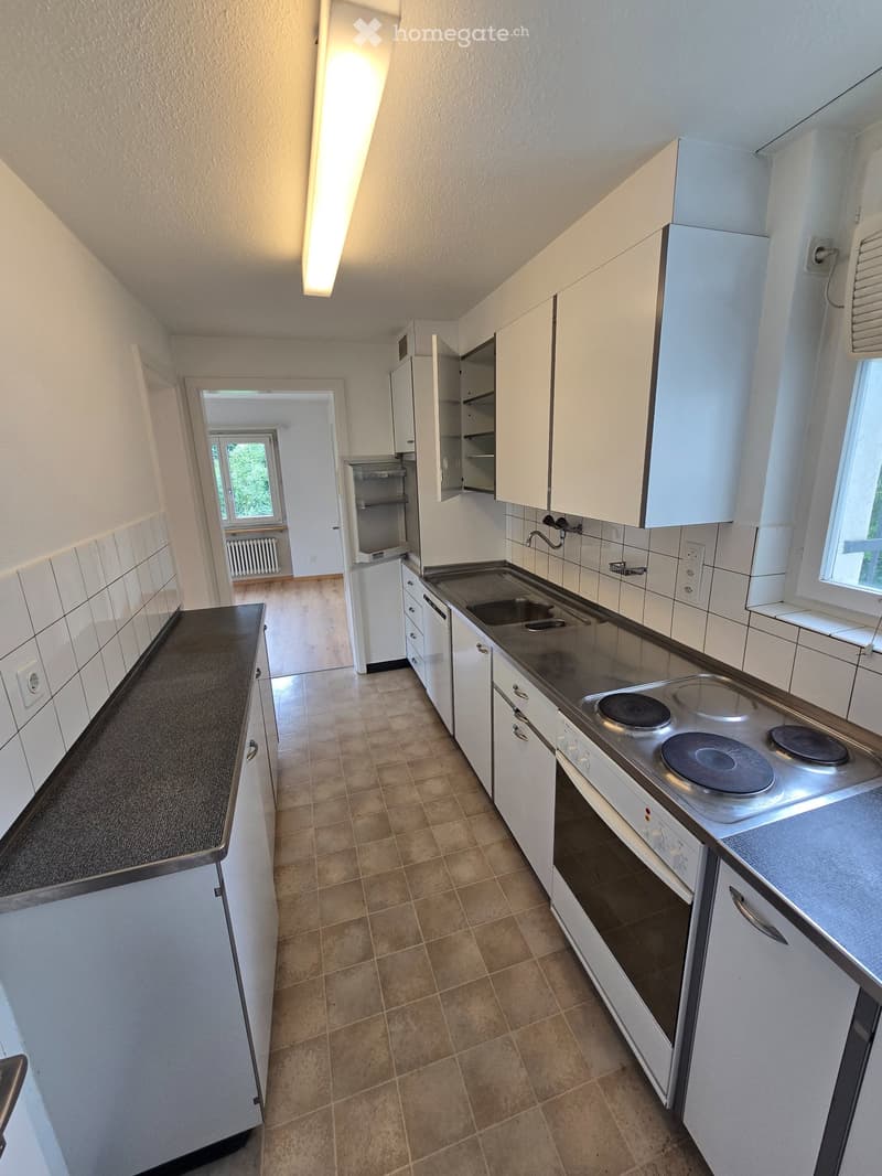 6 ½ Zimmer-Haus in Wetzikon mieten (4)