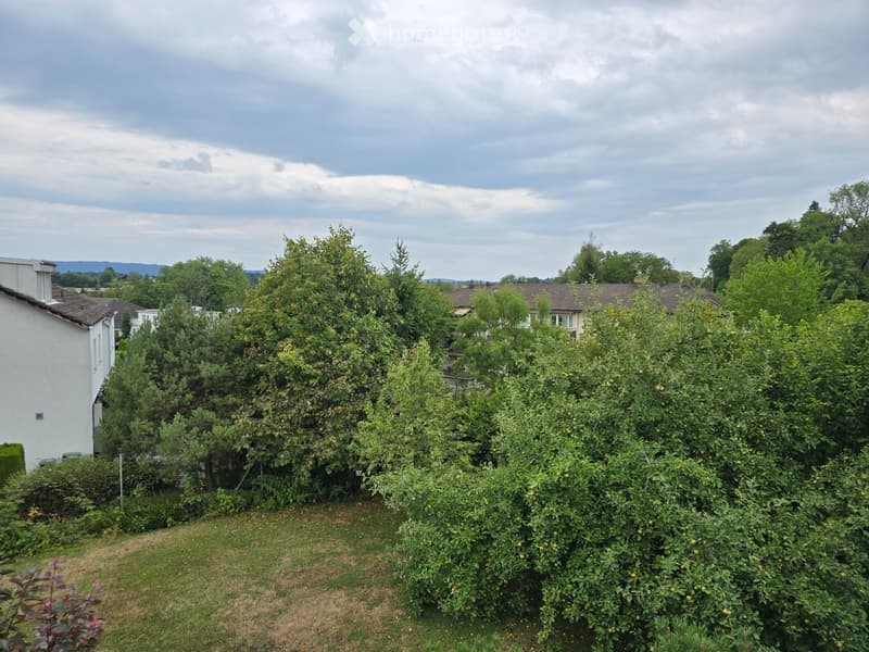6 ½ Zimmer-Haus in Wetzikon mieten (5)