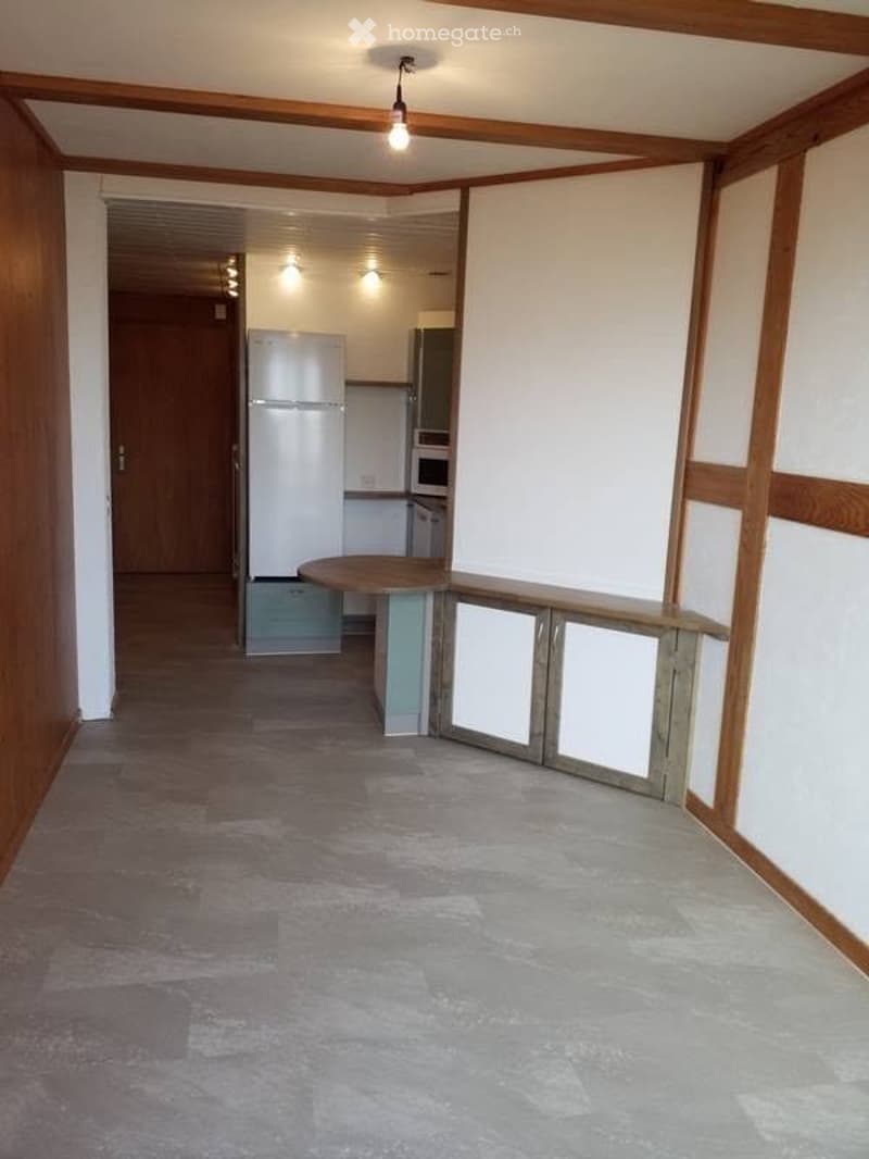 Schöne und zentrale 1,5 Zimmer Wohnung (2)