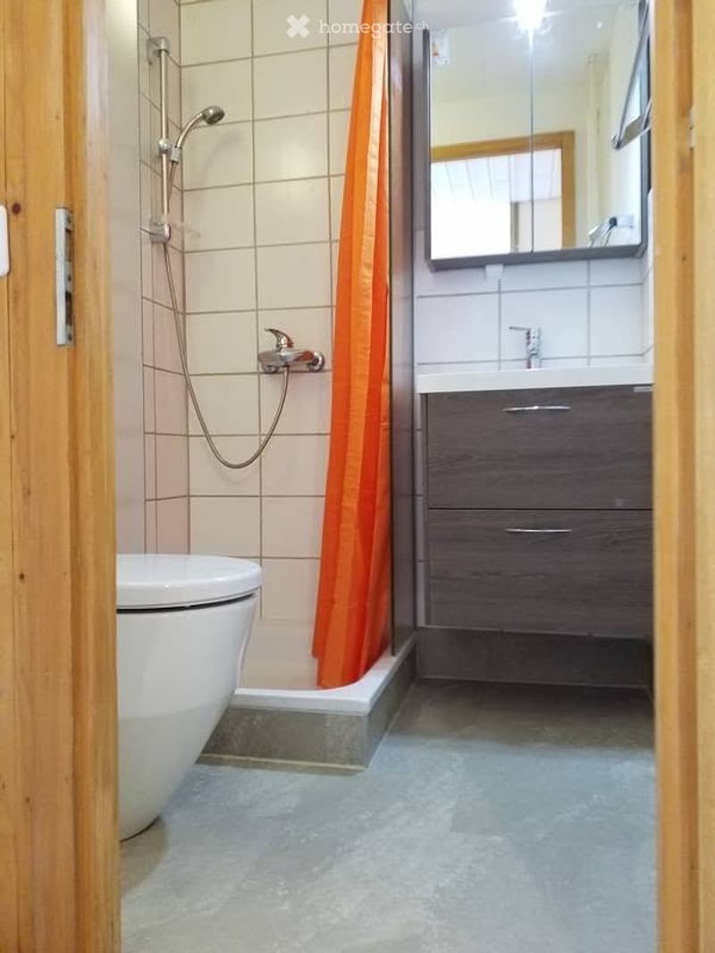 Schöne und zentrale 1,5 Zimmer Wohnung (3)