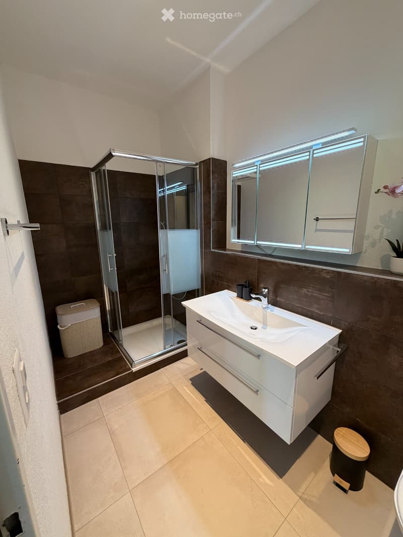 Lichtdurchflutete, möblierte 2-Zimmer-Wohnung (6)