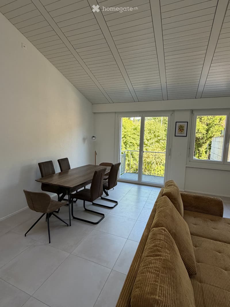 Lichtdurchflutete, möblierte 2-Zimmer-Wohnung (1)