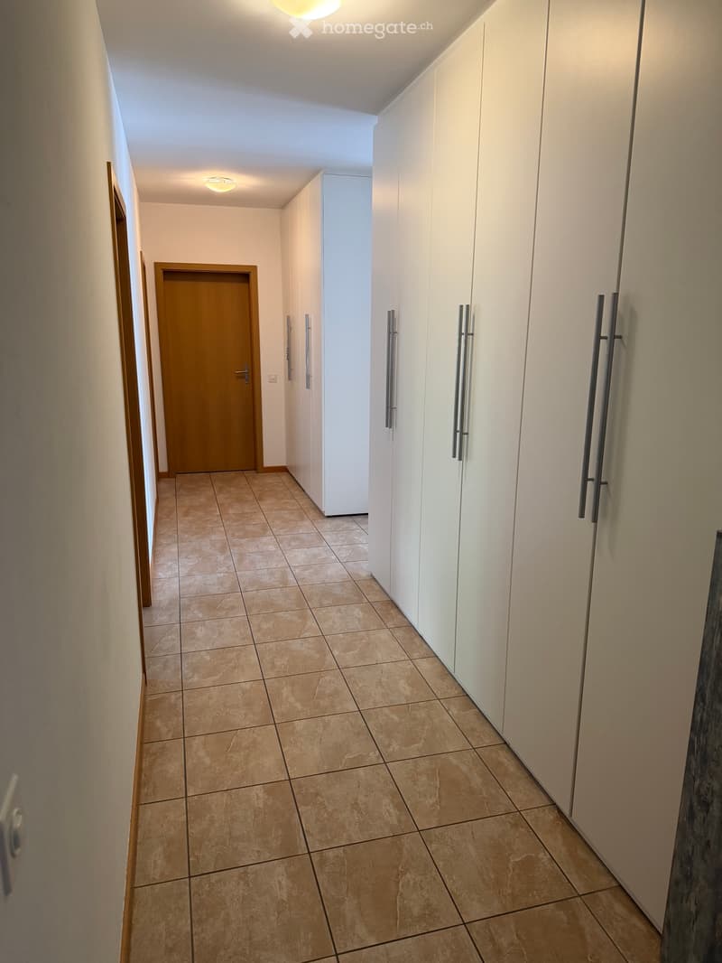 CERCASI SUBENTRANTE per un 4.5 a San Pietro di Stabio (4)