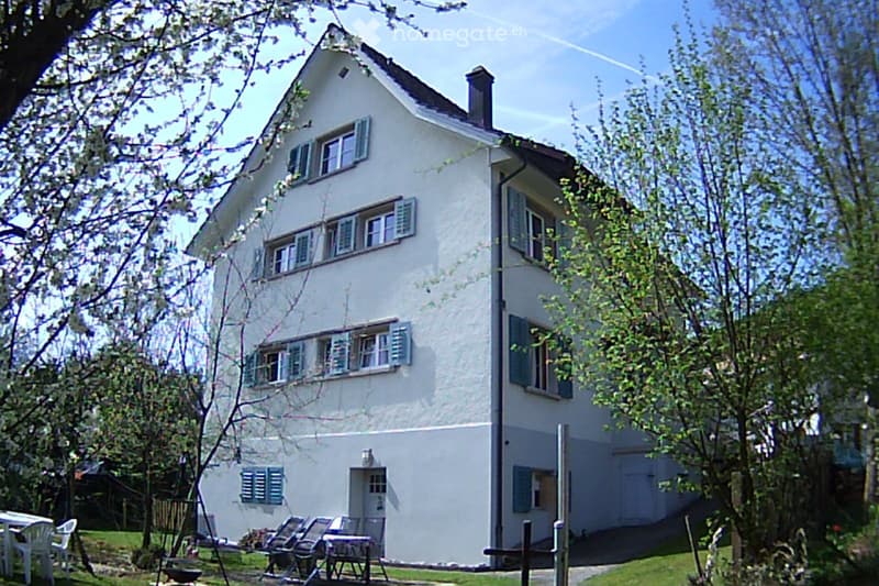 Rüti: 4-Zimmer-Wohnung im mit wunderschöner Aussicht (1)