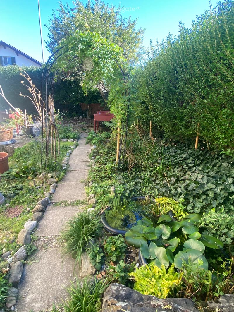 Wunderschöne Wohnung (5)