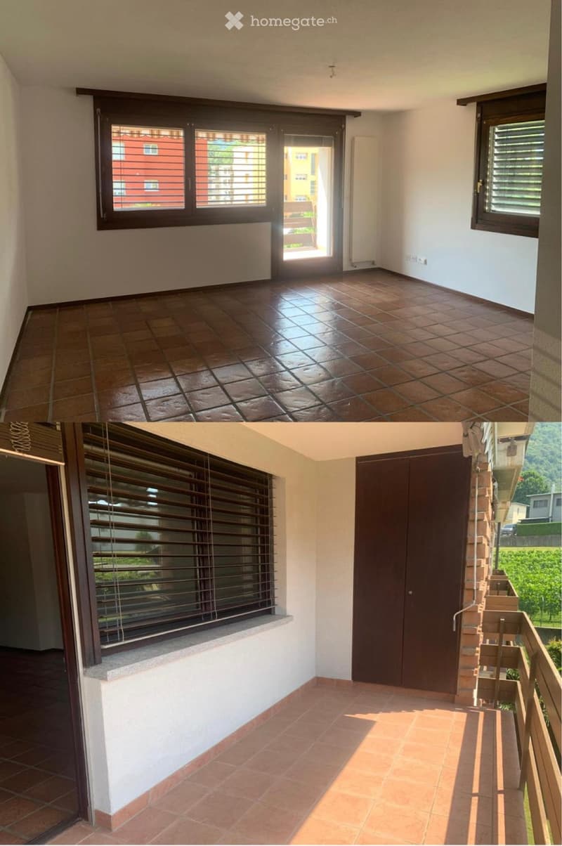 Affittasi ad Arbedo 2.5 locali. (1)