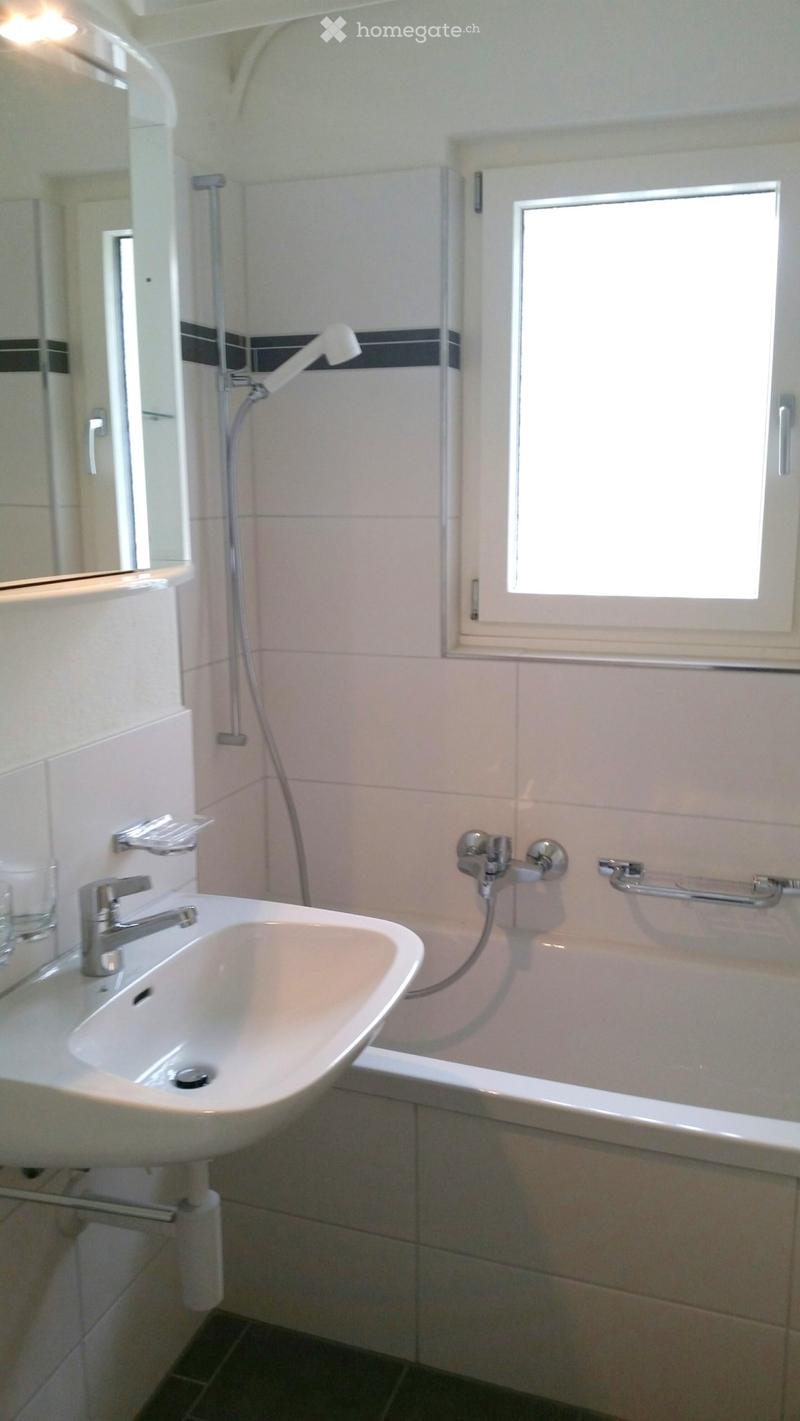 Renovierte 4.5 Zimmerwohnung mit grosser Terrasse (4)