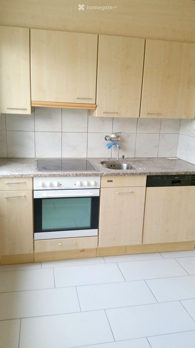 Renovierte 4.5 Zimmerwohnung mit grosser Terrasse (3)