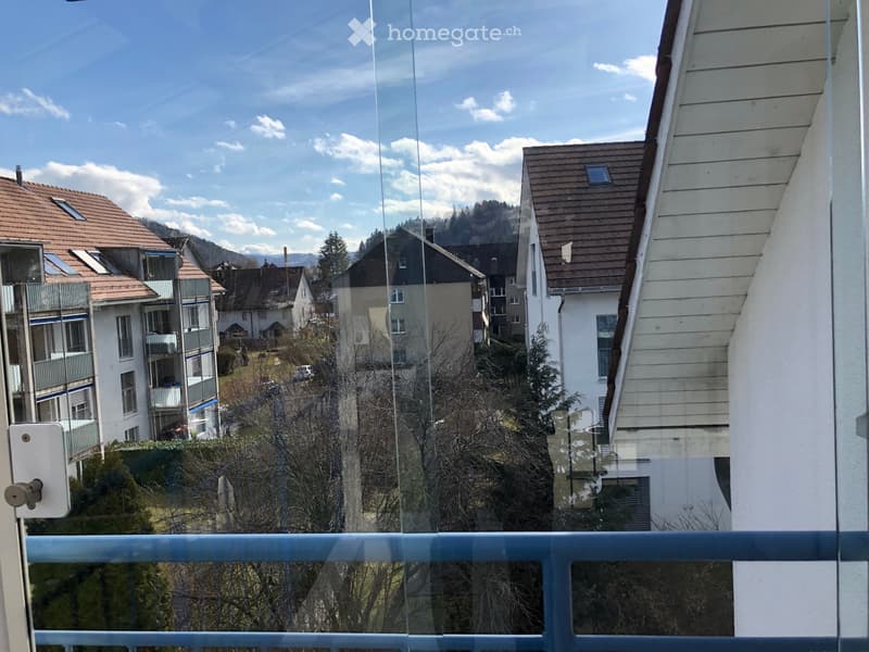 3 1/2 Zimmer Maisonette Wohnung 80m2 (3)