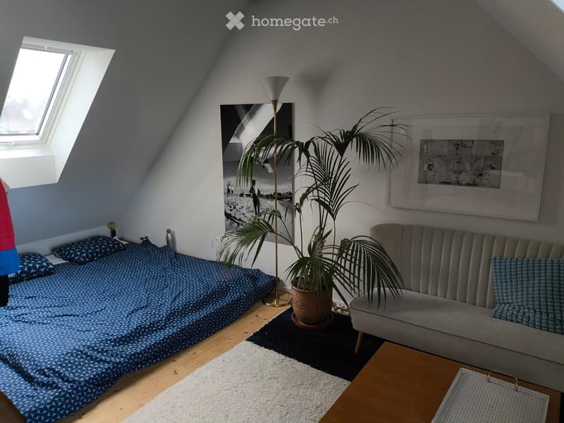 Möbliertes Haus, stadtnah, befristet zu vermieten (6 Monate) (2)