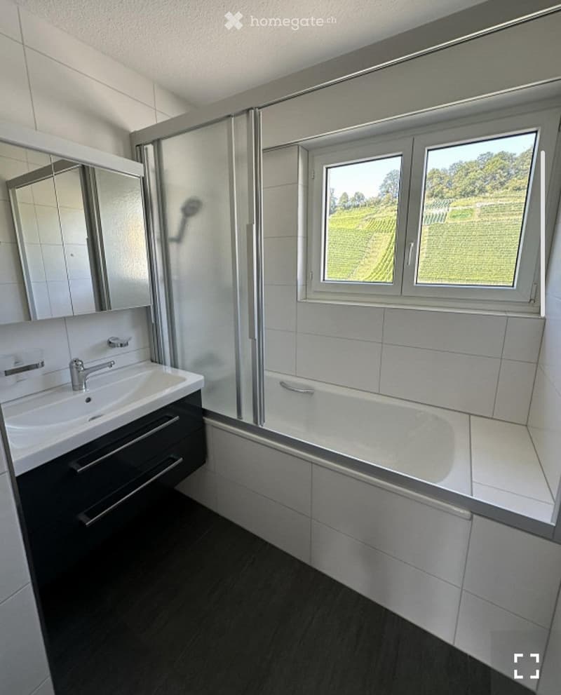 Nachmieter gesucht  4-Zimmer-Attikawohnung in Thal (2)