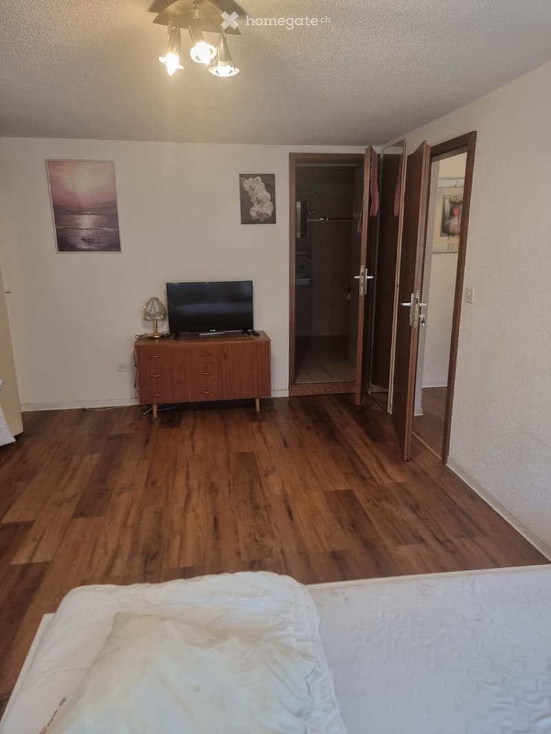 Möblierte 1-Zimmerwohnung in Attiswil zu vermieten (2)