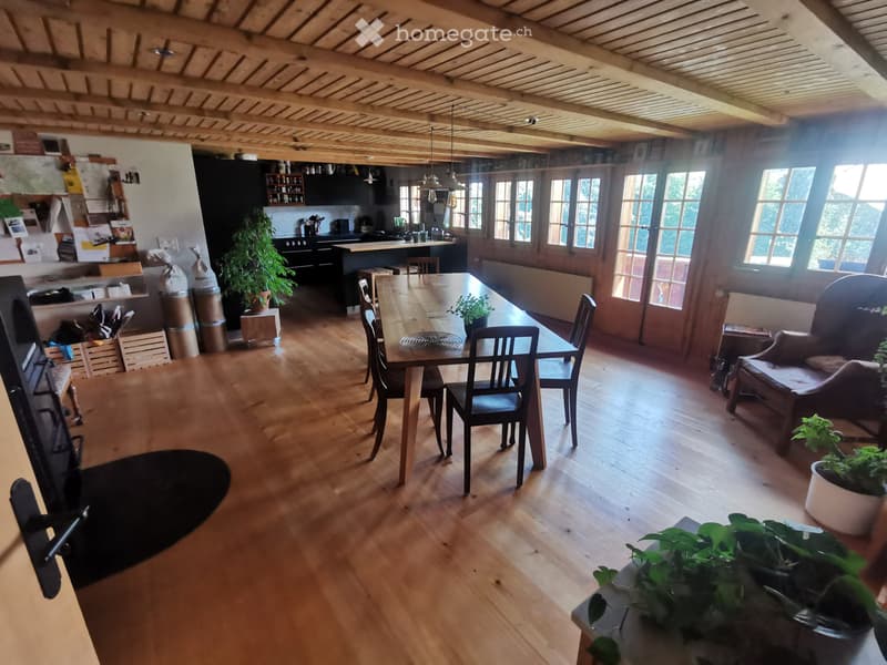 WG Zimmer (5)