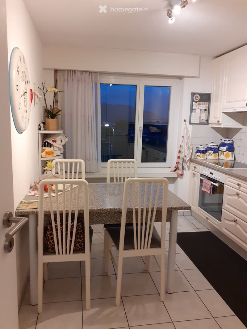 4,5 ZI WOHNUNG (1)