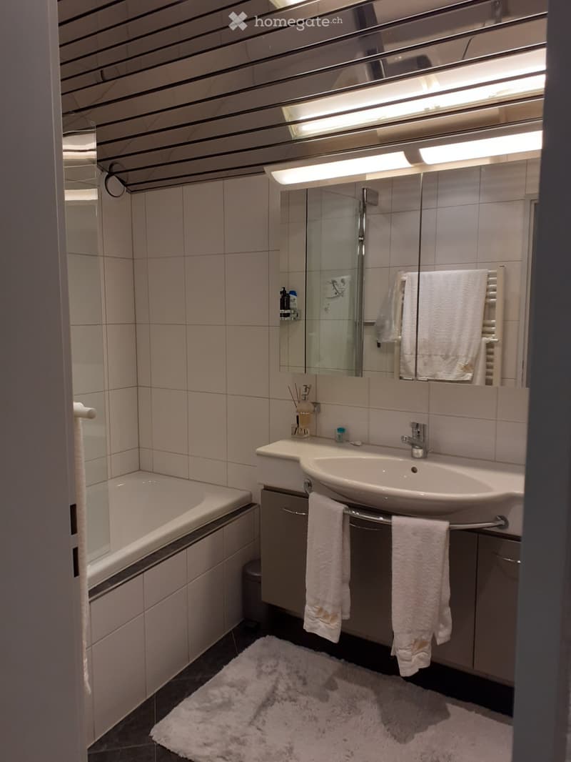 4,5 ZI WOHNUNG (4)