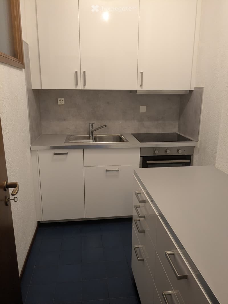 Affittasi appartamento 2.5 locali a Davesco (5)