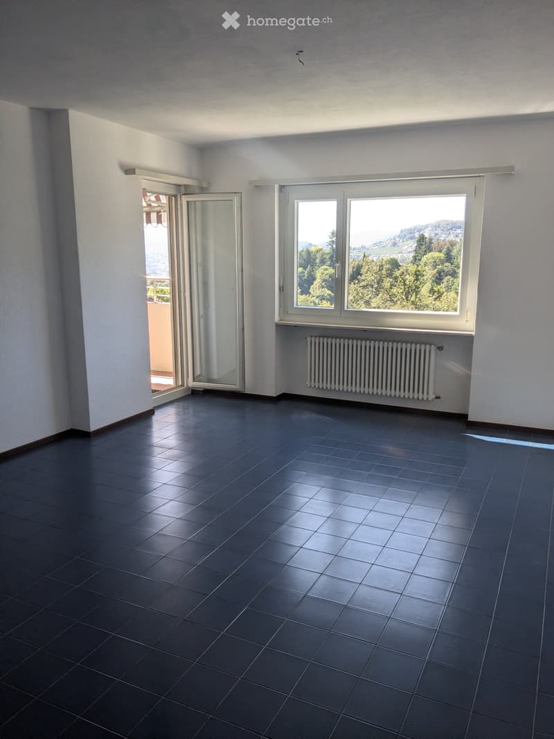 Affittasi appartamento 2.5 locali a Davesco (3)